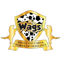 Wags Doggy Day Care coupons