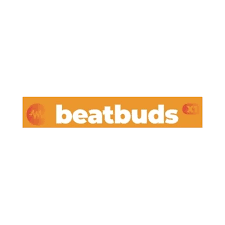 Beatbuds X1