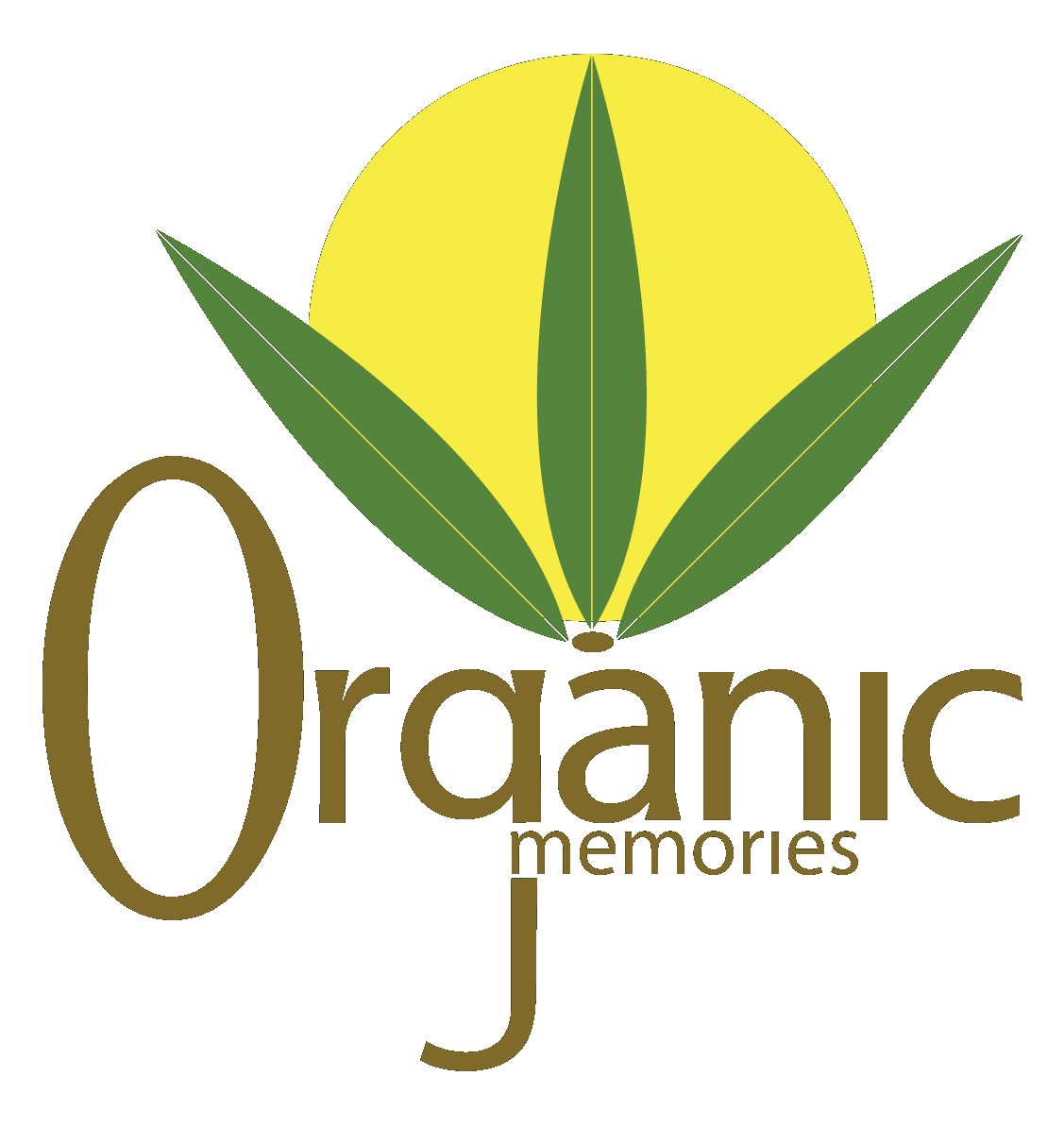 Organic Memories