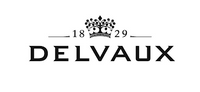 Delvaux coupons