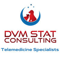 DVM STAT Consulting coupons
