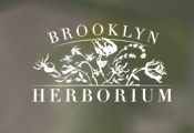 Brooklyn Herborium