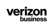 Verizon Business