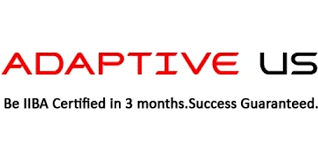 Adaptive US Inc