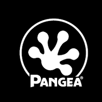 Pangea Reptile coupons
