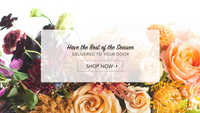 Snowdrop Shop