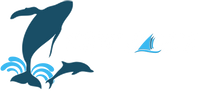 Dolphin Safari coupons