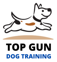 Top Gun Dog Training coupons