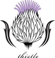 Thistle Wellington