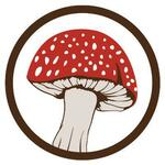 Psyched Wellness coupons
