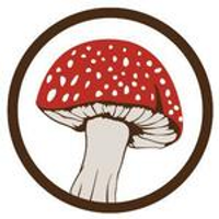 Psyched Wellness coupons