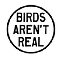 Official Birds Arent Real coupons