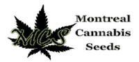 Montreal Cannabis Seeds coupons