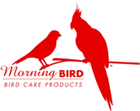 Morning Bird coupons