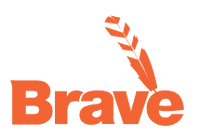 Brave Toys coupons