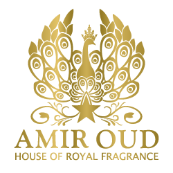 Amir Oud